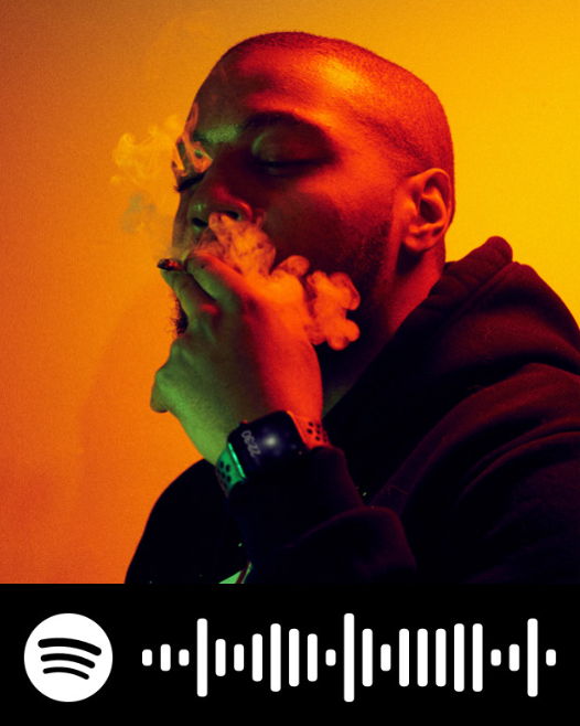 Master S BTB Spotify code with artist portrait